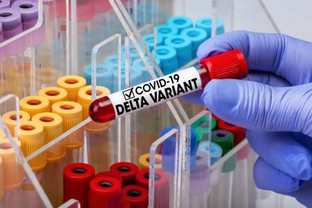 Koronavírus delta variáns németország